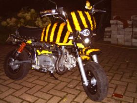Bumble Bee 2.JPG