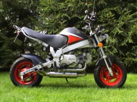 DSC00611_Sideipipes_PBR.jpg